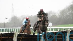 Handstands impresses once more in Sidney Banks
