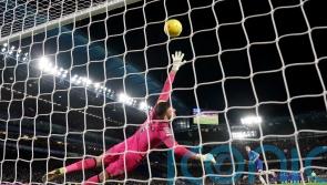 Football fan admits assaulting Newcastle goalkeeper during game