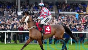 Honeyball looking to Reynoldstown task with Kilbeg King