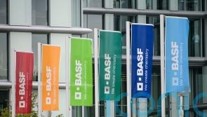 BASF sells stakes in two China ventures after reports of human rights abuses