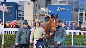 Allegorie De Vassy on the Festival path after Naas victory