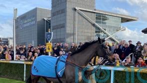 Altior delights racegoers with Newbury parade