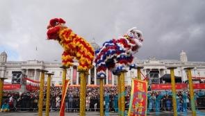 Tens of thousands turn out to celebrate Chinese New Year