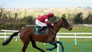 Brighterdaysahead enjoys Sunday stroll at Navan
