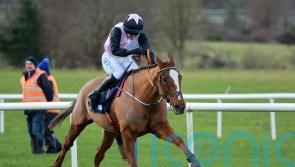 Hiddenvalley Lake lands smooth Boyne Hurdle success