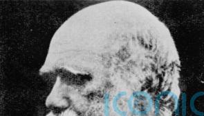 Vast personal library of Charles Darwin uncovered for the first time
