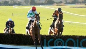 American Mike toughs it out for Ten Up triumph