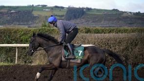 Galopin Des Champs primed for Gold Cup defence