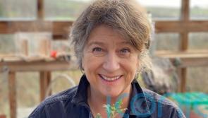 Caroline Quentin: Being an actor and a gardener is not a happy combination