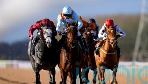 Globetrotter Brave Emperor all set for Qatar run