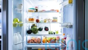 How to make the most out of your leftovers