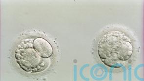 Faulty egg-freezing solution ‘may have been distributed to other clinics’