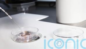 Second fertility centre linked to faulty egg-freezing solution