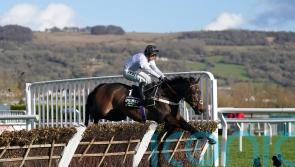 Constitution speed leaves De Boinville &lsquo;no margin for error&rsquo;