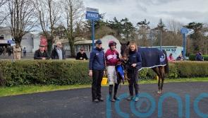 Search For Glory ends in Grade Three honours at Clonmel