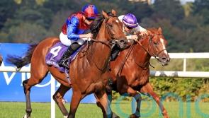 Luxembourg on course for Saudi trip