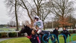 Botox Has is Rendlesham hero, but no plans for Stayers’ tilt
