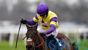 Nemean Lion roars for Kerry Lee in Kingwell Hurdle