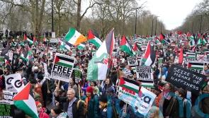 Twelve arrests at pro-Palestine demonstration in central London