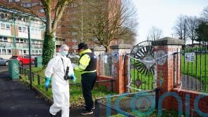 Teenagers charged with murder of Darrian Williams in park