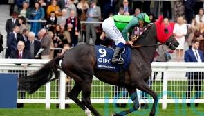 Verry Elleegant dies due to foaling complications