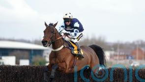 Cannon convinced Edwardstone can make Champion Chase impact