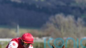 Fowler putting Colonel Mustard on Champion Hurdle case