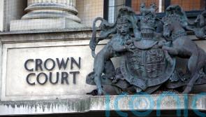 Cat killer blames ex for killing animal, court hears