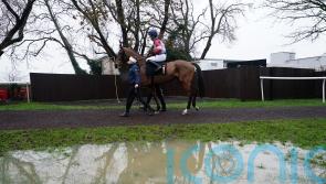Waterlogging claims Huntingdon card