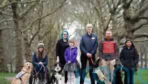Vote open to public to crown UK’s most heroic dog in Crufts award