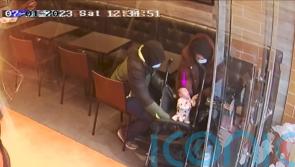 Fugitive aristocrat was a good mother and did nothing wrong, partner told police