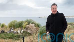 Penguins, edible grass and net zero on agenda for Cameron in Falklands