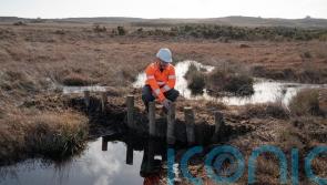 £1 million project launched to restore rare peatland habitats