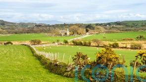 Welsh Government’s subsidy scheme ‘will decimate farming communities’, PM warns