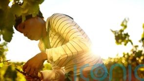 6 top drops by female winemakers to toast International Women’s Day