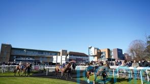 Fontwell loses National Spirit card to waterlogging