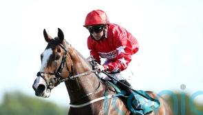 Fahey making the most of Fergie time with Spirit Dancer