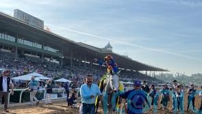 Dutrow bullish about Saudi Cup favourite White Abarrio
