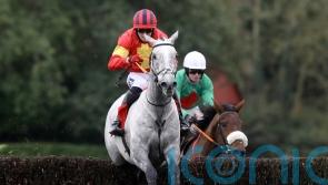 Vanillier backed to boost Aintree hopes at Fairyhouse