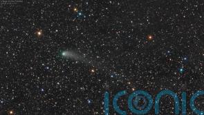 Scientists issue call for help with images of comet without a tail