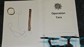 Man arrested over drone delivery of drugs into prisons