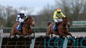 Kalif Du Berlais made to battle for Adonis honours