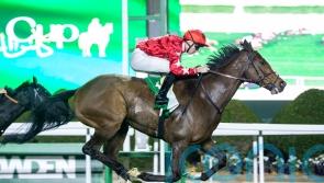 Spirit Dancer powers home to give Ferguson victory in Neom Turf Cup