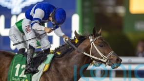 Senor Buscador prevails in exciting Saudi Cup finish