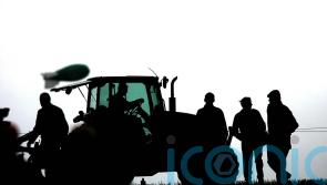 Ireland’s nature minister: ‘We can’t restore nature without active farmers’