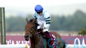 Morrison keen on going for Gold with Quickthorn