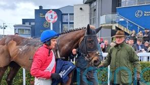 Ferny Hollow returns with smooth success at Naas