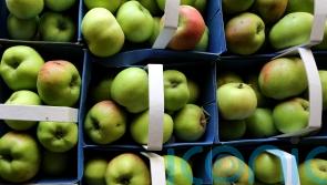 New method of squeezing apple juice could boost its health benefits – study