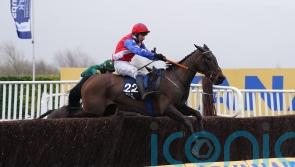 Angels Dawn to bid for Kim Muir repeat