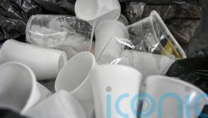 Experts discover proteins which degrade plastic